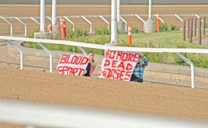 stampedeprotest2