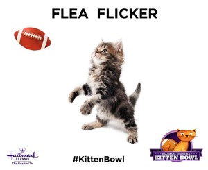 KittenBowl