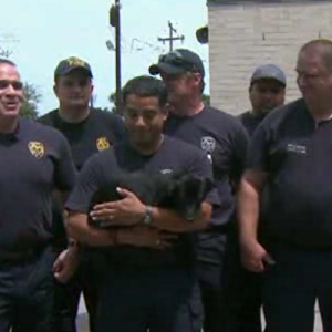 chinews-raw-firefighters-rescue-pup-20140826