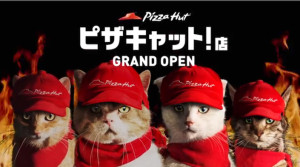 pizzacatjapan