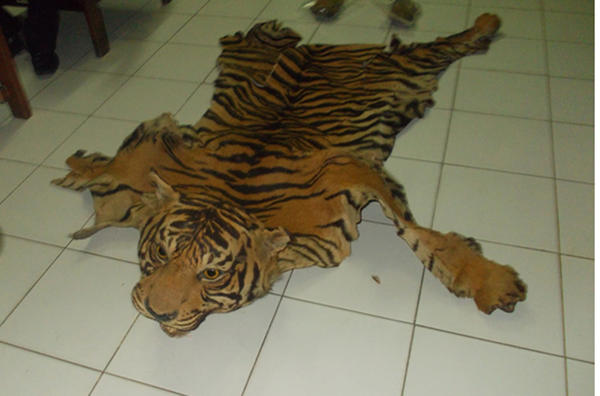 Operation-PAWS-Indonesia