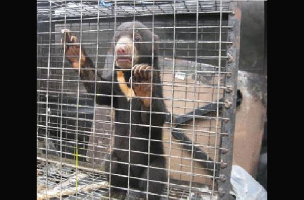 Operation-PAWS-Malaysia