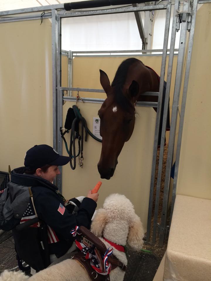 sydneycollierjourney