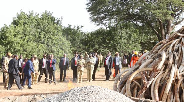 PSCU Kenya Digital/Twitter