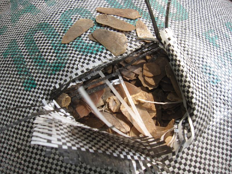 Handout: Hong Kong government