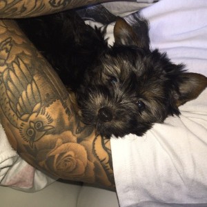 da017960-d1ab-11e4-8c21-f5217d23417a_justin-bieber-puppy