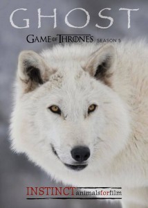 11139767_940410052657855_109036469162697961_n