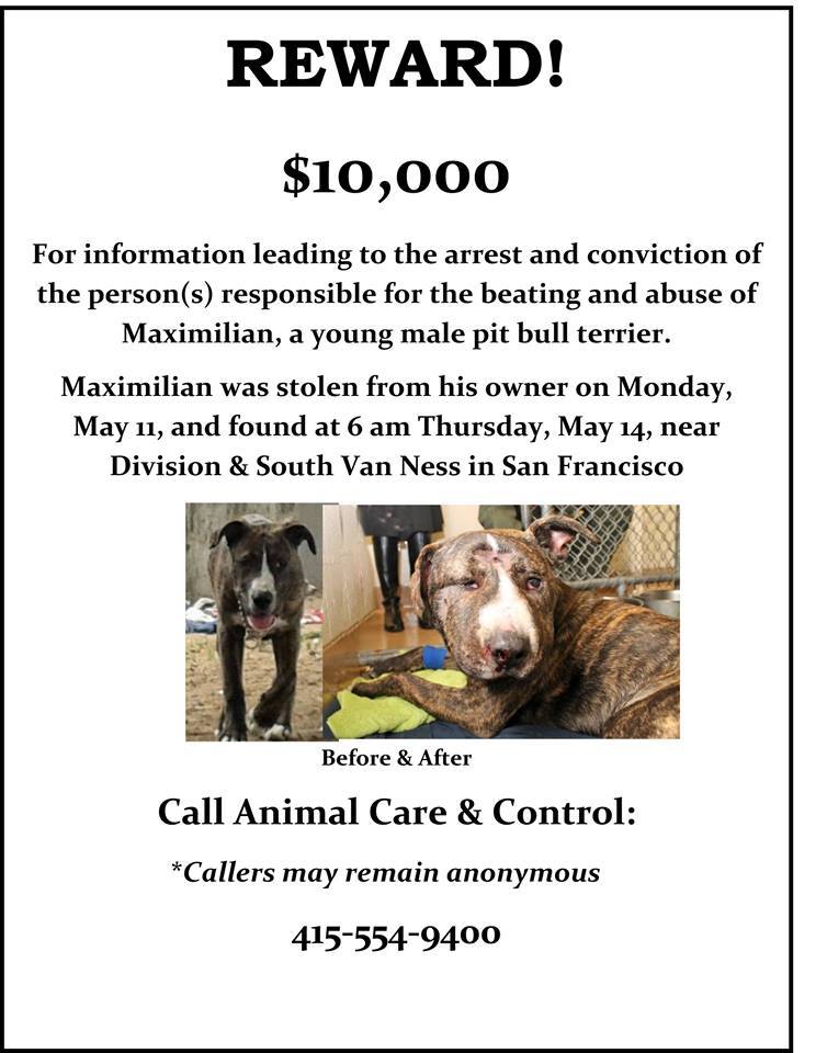 maximilianSFSPCAposter