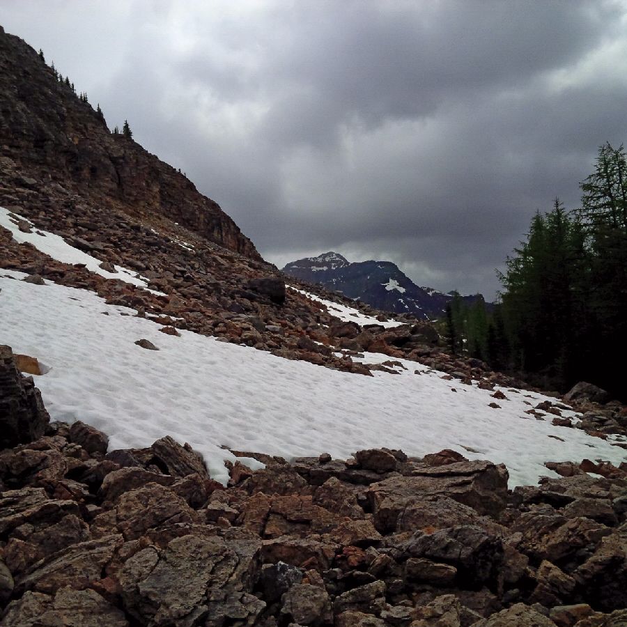 wolverinesimpsonspass