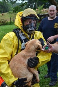 11017825_1006304172721835_400478859203798322_n-1