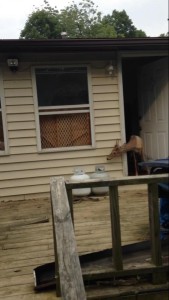 11659242_941075212601315_3621690209012944263_n