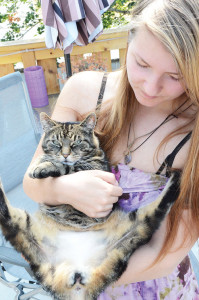 11981campbellriverShavenCats-md