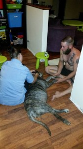 16764_616942345118705_4345801790356166606_n