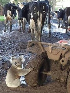 61edbf2ac8bf3362450b9d846da9968d