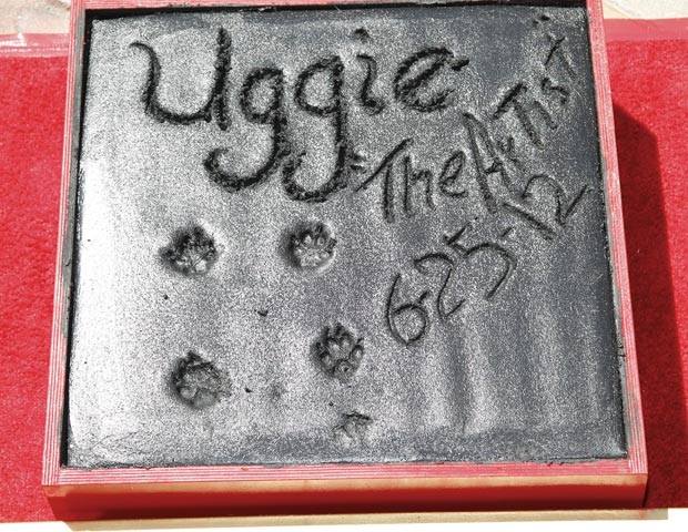 UggieWalkofFame