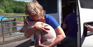 where there's no fear of bacon