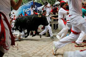runningbulls