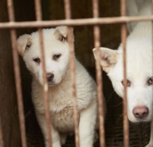 9ecd376e5371efaef9aad9bc9143aed8_M