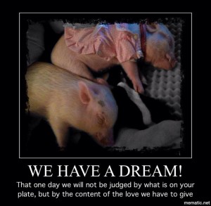 12112077_1638572503059343_7524220839383663590_n