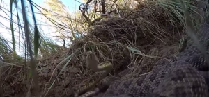 Screen Shot 2015-10-13 at 8.51.23 PM