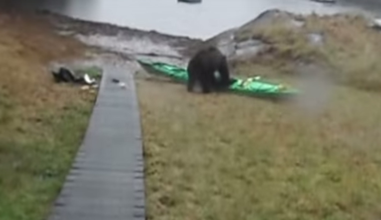bearkayak3