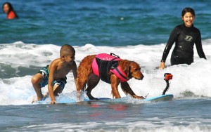 12042991_10153720983294371_3899508864653139209_n