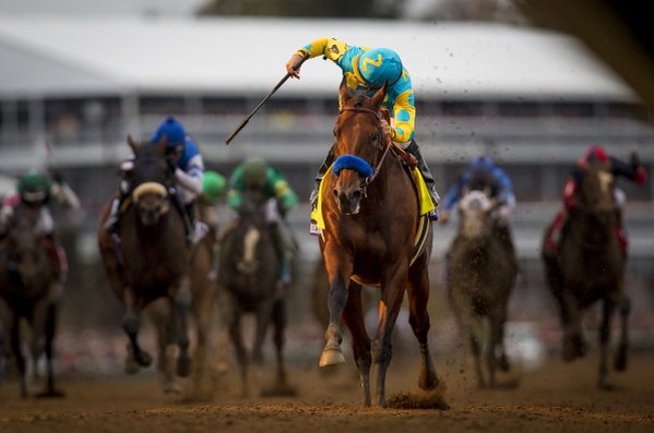 "HISTORY MADE. #AmericanPharoah has won the #GrandSlam"/Breeders' Cup/Twitter