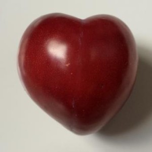 a11ba306c1f1f317e1408faa0e857386