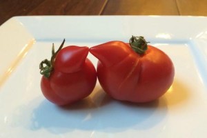 b4f3718541adab2a95e08516730f6850