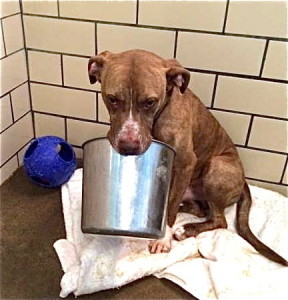 slimjpg-165179de1d97920d