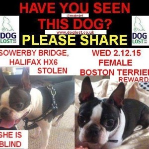 12299111_10206174738981259_6002831330595225930_n