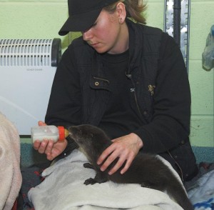 12310580_10153114319771876_5350742547012319308_n