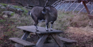 Screen Shot 2015-12-14 at 12.37.00 PM