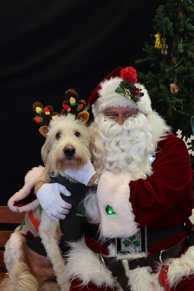 Houston Humane Society/Facebook