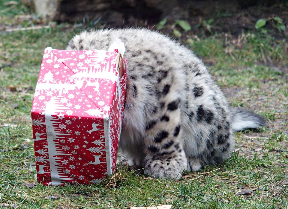 Zoo de Granby/Facebook