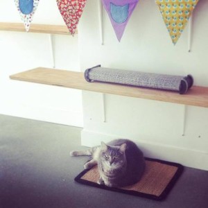 62bb21c4-b7d2-42dc-bfa7-69b0c9faf245