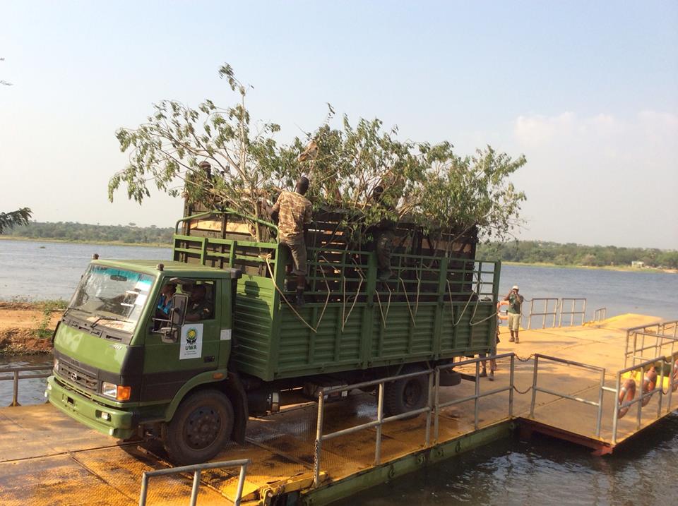 GirafferelocationUganda