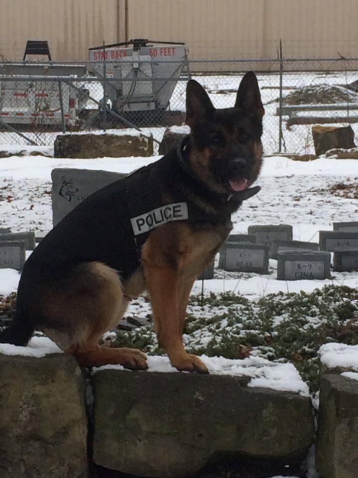 Officer Jethro in January, 2015. Police K-9 Association/Facebook