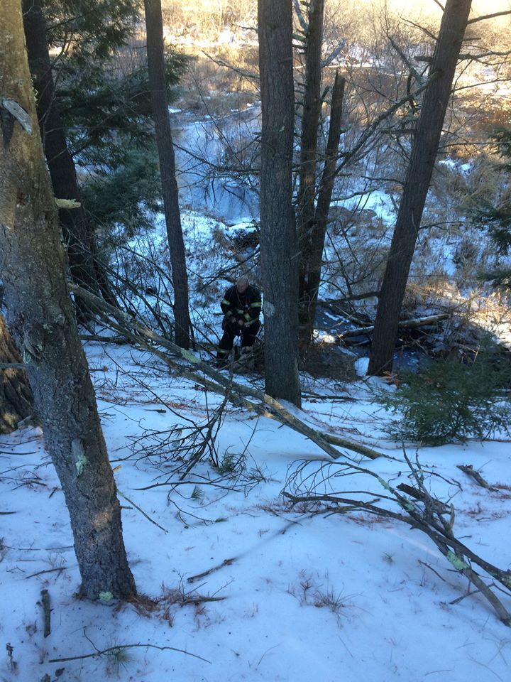 OrangePolicesavedogs