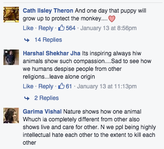 Screen Shot 2016-01-25 at 6.19.46 PM