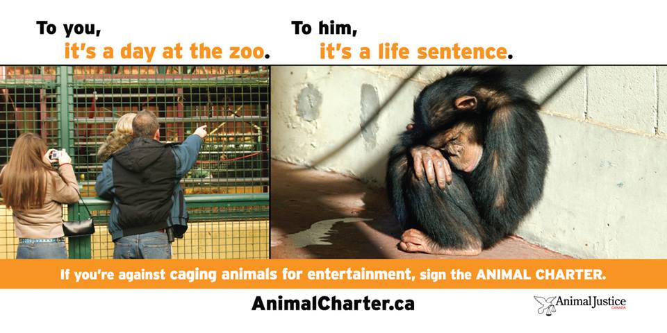 animaljusticezoo