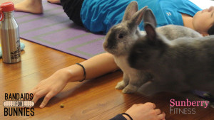 bunny-yoga-sunberry-fitness-bandaid-for-bunnies-easter