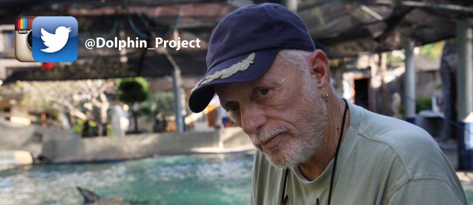 Photo from Ric O'Barry's Dolphin Project/Facebook