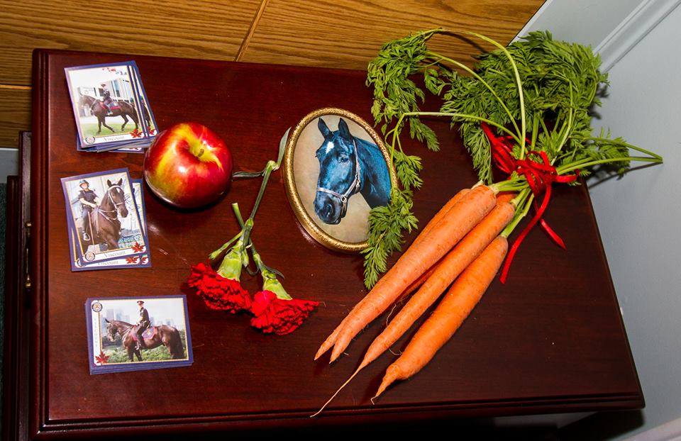 torontopolicehorseoffering