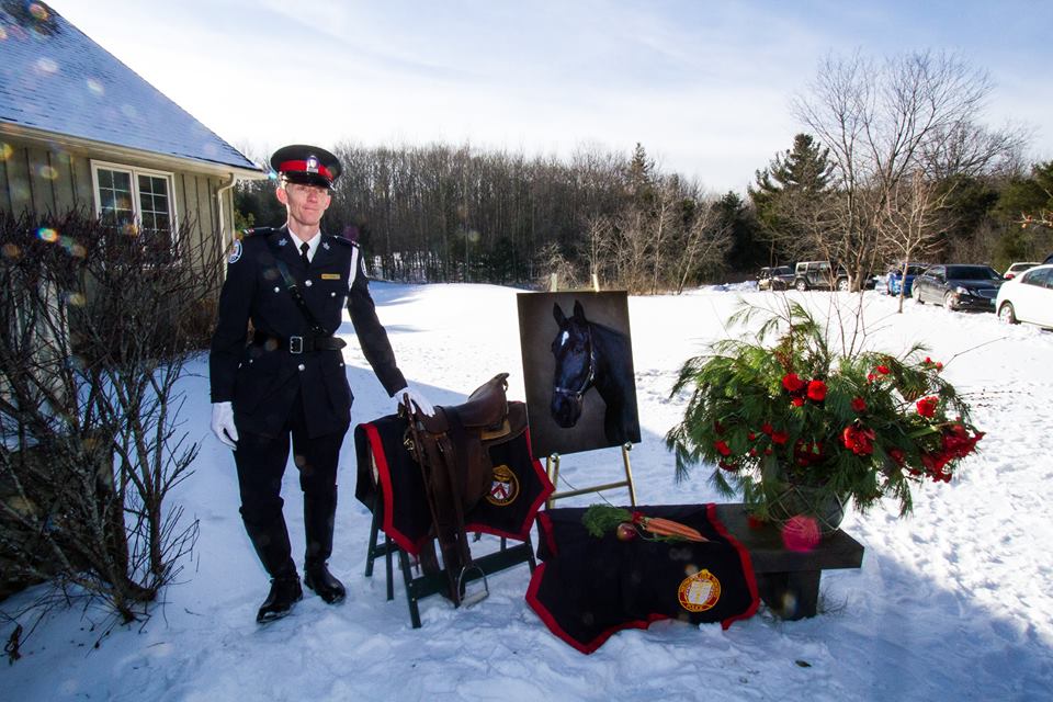 torontopolicehorseservice