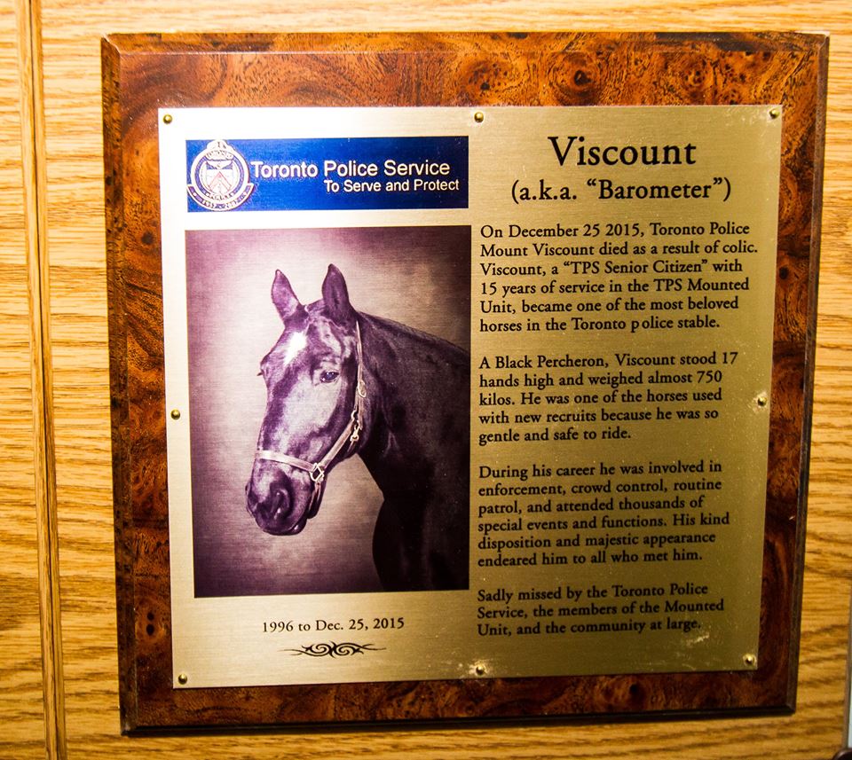 torontopolicehorseviscount