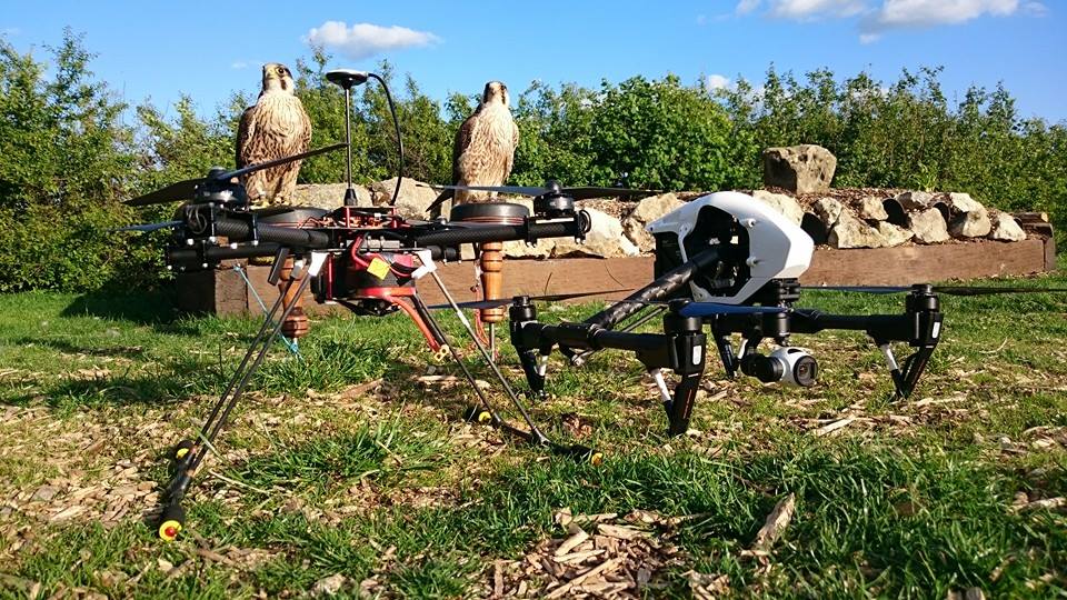 Jonny Ames drones fleet and real birds/Facebook