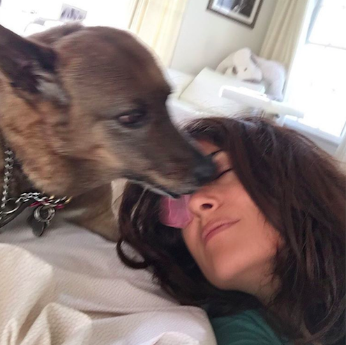 Salma Hayek posted this photo last year of one of her dogs wishing her "good morning"/Instagram