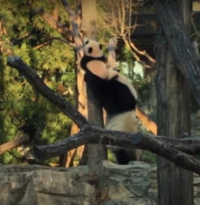 Screen Shot 2016-02-10 at 9.34.13 AM