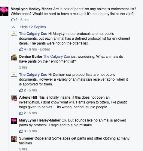 Screen Shot 2016-02-17 at 4.04.53 PM